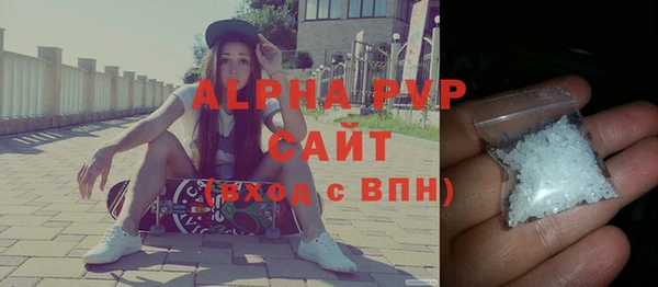 стафф Осташков