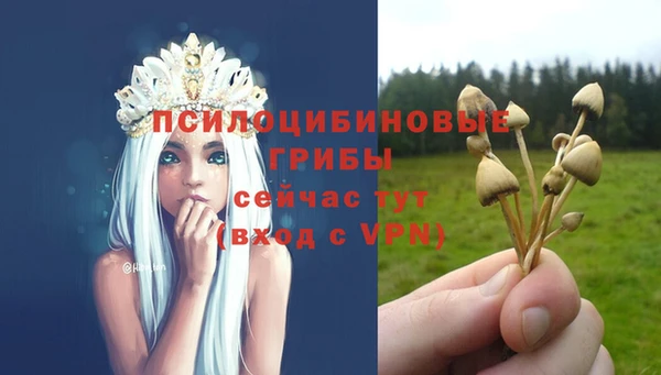 амф Осинники