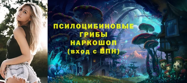 стафф Осташков