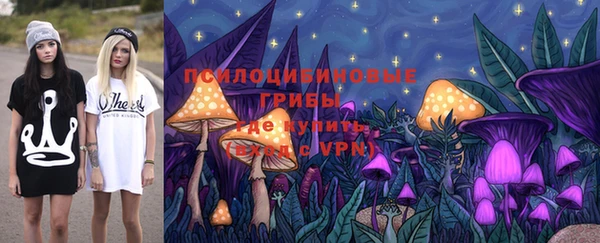 амф Осинники
